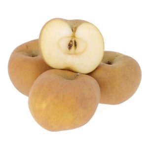 Pomme Canada grise Bio