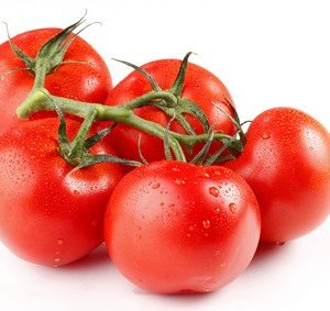 Plant Tomate Moyenne Grappe