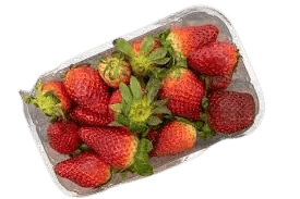 Fraise Bio 250g