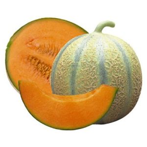 Melon Bio