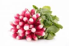 Radis long Bio la botte