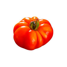 Plant Tomate Marmande Bio