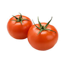 Plant Tomate ronde Maestria
