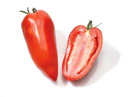 Plant Tomate Cornu des Andes Bio