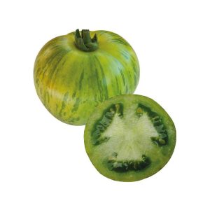 Plant Tomate Moyenne Green zebra